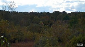 4.8K views · 57 reactions | 40 yard fast crosser Muller Chokes Ü2 constriction. | Müller Competition Chokes | Facebook