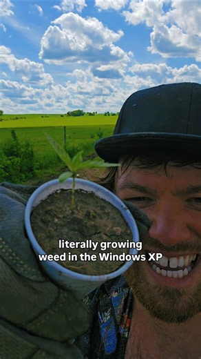 Windows XP Za Farm 🍃