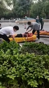 They got shreded, literally. Chinese pizza time.