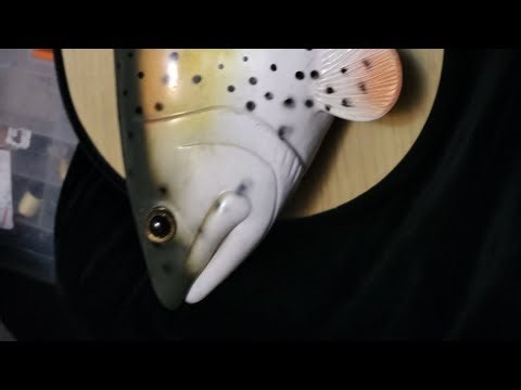 Two bootleg singing fish of My collection