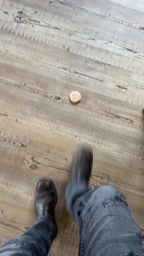 Adorable Bread Pudding Dog Compilation 🐶🍞