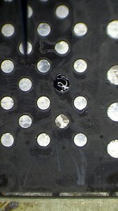 64K views · 680 reactions | Jump wiring is one of the most miraculous processes in mobile repair. #reballing #phonerepair #iphonerepair #microsoldering #soldering | REWA Tech | Facebook