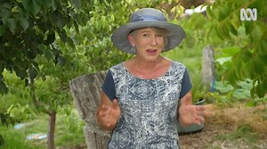 Sheet Mulching - Gardening Australia