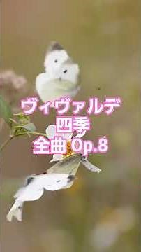 #72 🎻 アントニオ・ヴィヴァルディ | 四季 全曲 Op.8 No.1〜4 | バロック時代 #classicalmasterpiece #クラシック名曲