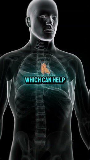 Taro 101 Health Benefits, Uses & How to Cook It #superfoods #healthylifestyle #healthyeating