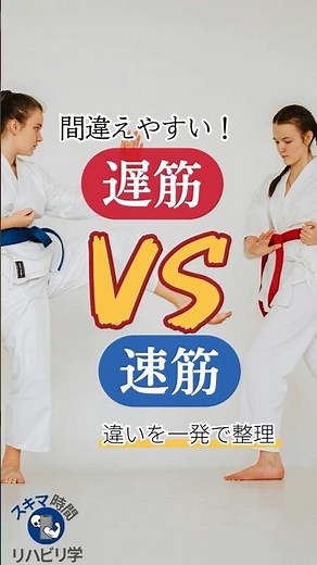 【違いは？】遅筋vs速筋 違いを一発で整理！ #理学療法士国家試験 #理学療法士 #作業療法士国家試験 #作業療法士 #基礎 #違い #筋肉 #遅筋 #速筋
