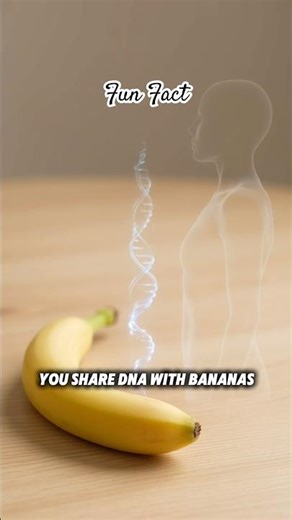 Fun Fact: You Share DNA With Bananas