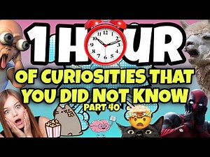 1 HOUR OF CURIOSITIES AND THINGS YOU DIDN'T KNOW 🧠⏰ #40