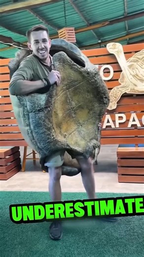 Why Turtles Are Slow? He Tried It Himself…