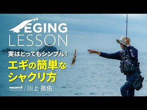 A must-see for egging beginners! Easy jerking method to catch bigfin reef squid [Egging Lesson]