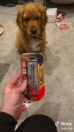 My new beast 😍 the best cutter on the market that is FACTS. #rubi #rubitools #tilecutter #tilecuts #newtool #fyp