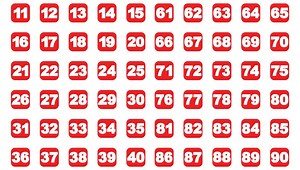 The 100 Prisoners Problem: When Mathematics Gets Even More Confusing