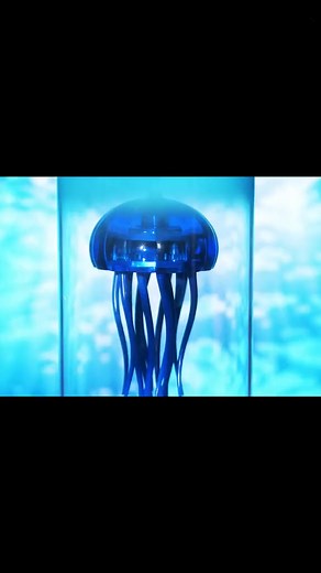 3.4K views | Vous pouvez accéder aux produits à partir du lien dans mon profil. | Amazon France | Facebook