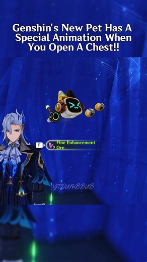 This NEW Pet Has A Special Animation 😭 #genshinimpact