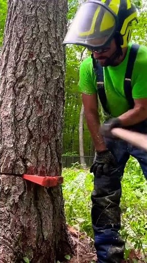 Drop The Top and HAMMER IT HOME!