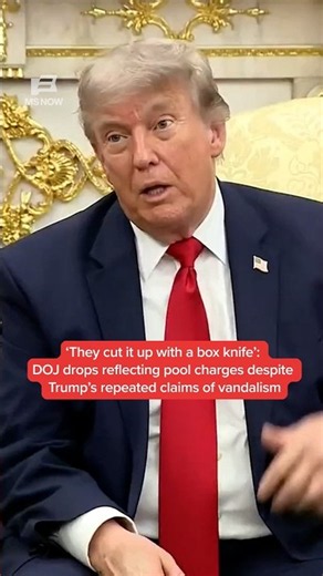 DOJ drops reflecting pool charges despite Trump's repeated claims of vandalism