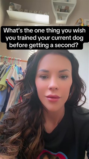 Essential Dog Training Tips for New Owners