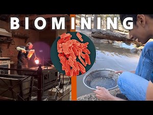 Using bacteria to mine gold! (And the story of Ballarat)