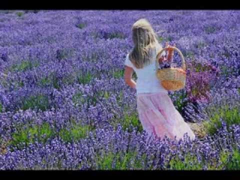 Stewball (Hugues Aufray)