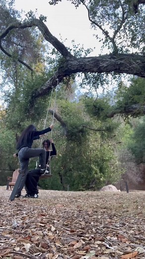 Enjoying a Swing Under a Gnarled Tree
