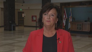 With N.L.'s pay equity legislation seemingly on the back burner, the PC Party is demanding answers | CBC News