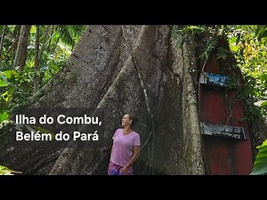 Combu Island! A must-see tour in Belém do Pará, September 2025