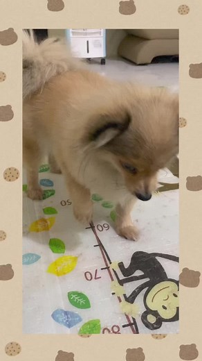 Theresia Dora on TikTok