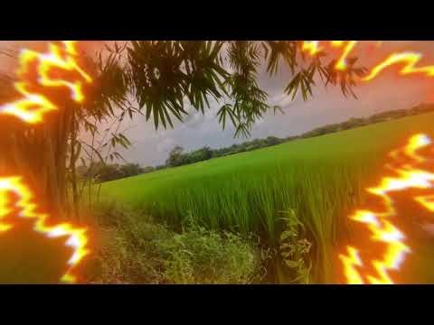 Assamese new video status trending song