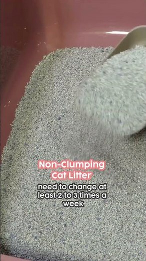 Clumping vs Non-Clumping Cat Litter 😸⁠😸 ⁠ ⁠