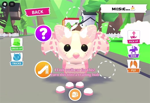 Trading Hub Insights: My SSBD Scam Experience