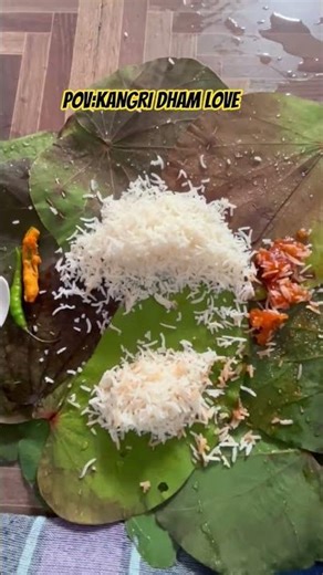 Kangra ki Sham &Dham ⛰️ #foodie #indianfood #dham #shorts #foodlover #himachlidham #kangridham #yt