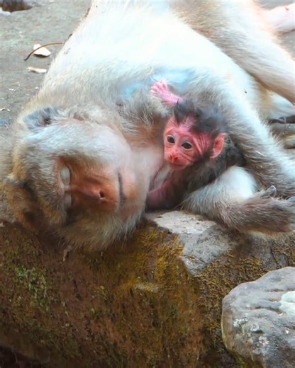 This old mom full exhausted but she's must take care her newborn baby | Alien TV