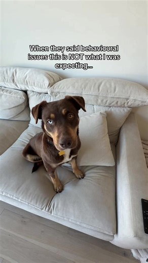 Understanding Rude Behavior in Social Interactions