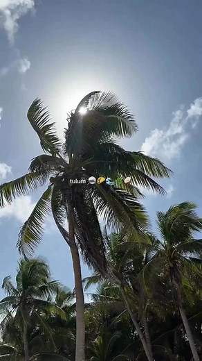 Come to Tulum, where the ocean meets ancient energy and the jungle comes alive. Feel the rhythm of the land, explore sacred ruins and cenotes, and taste unforgettable food rooted in tradition and fresh local flavors. Come for the beauty. Stay for the culture. Leave changed. 🌴✨ | Riviera Maya Digital Pass