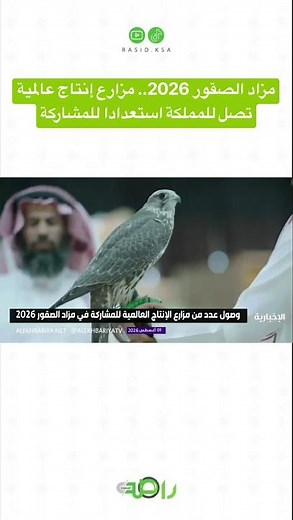 2026 Falcon Auction.. Global breeding farms arrive in the Kingdom to participate
