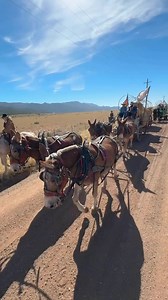 Sutter's Mill | รุ่งรัชนี แซ่ลิ้ม