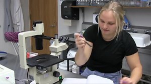 85 reactions · 4 comments | Rumer Flatness, a biochemistry and molecular biology senior conducting research on ovarian cancer at Bemidji State, will join more than 150 students as they present at the university's 23rd annual Student Achievement Conference on April 6. The events of the day are open free to the public. For more information visit https://bit.ly/3IuTivh | Bemidji State University | Facebook