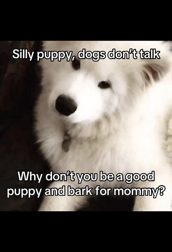 Puppy Play Guide: How to Roleplay Obedient Puppy and Mommy