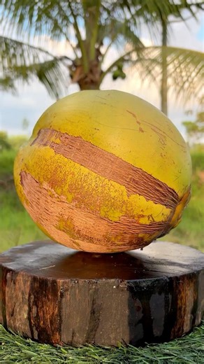 The most natural coconut 🥥🌴 #shorts