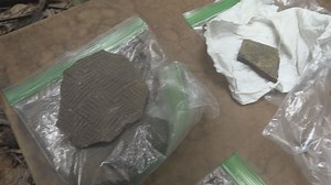 UNF students, faculty dig to unearth artifacts, plot layout of Timucua village on Big Talbot Island