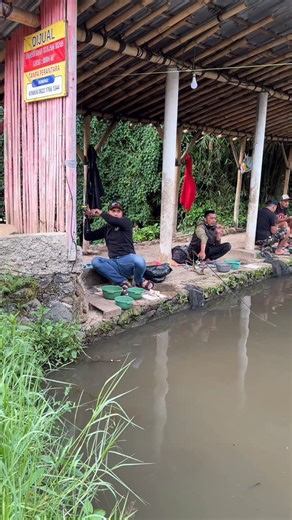 Brother Mancing Official on Instagram: "Pemancingan galatama ikan mas tdk di kasih serokan #brothermancing #mancing #fishing #galatamaikanmas #ikanmas"