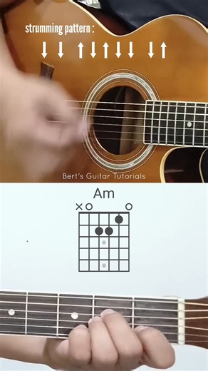 456K views · 7.3K reactions | simple chord progression for beginners #guitarlessons #guitarbeginner | Bert's Guitar Tutorials | Facebook