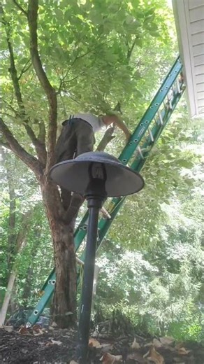 Repair Tips and Tricks!! Ladders!!! #construction #repair #selfemployed #building #ladder #climbing