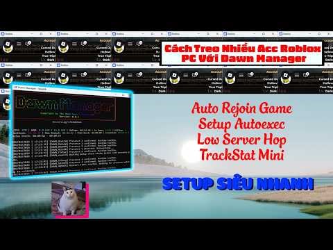 Cách Treo Nhiều Acc ROBLOX PC Với Dawn Manager | Auto Rejoin,Setup Autoexec,TrackStat Mini | WebRB