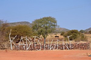 Kaditshwene ~ Detailed Information | Photos | Videos