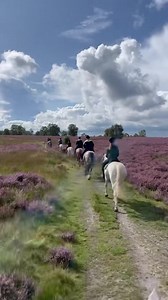 5.3K views · 332 reactions | Perfect day  | Cannock Chase Trekking Centre | Facebook