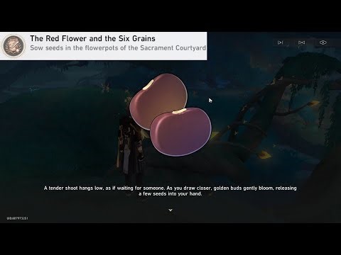 The Red Flower and the Six Grains | Honkai: Star Rail