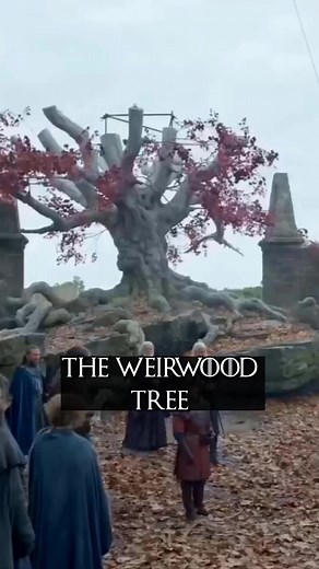 618K views · 7.5K reactions | Harrenhal weirwood tree with george r.R. Martin's face | House of Lore | Facebook