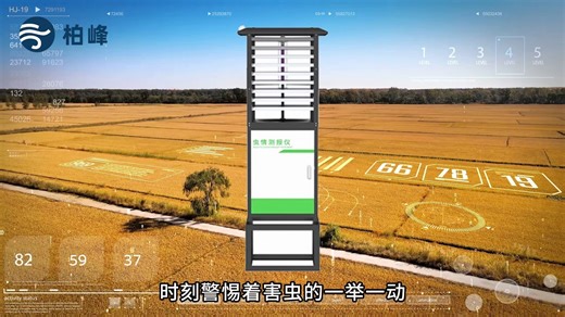 智慧农业虫情监测站 果园大田虫害分级预警设备