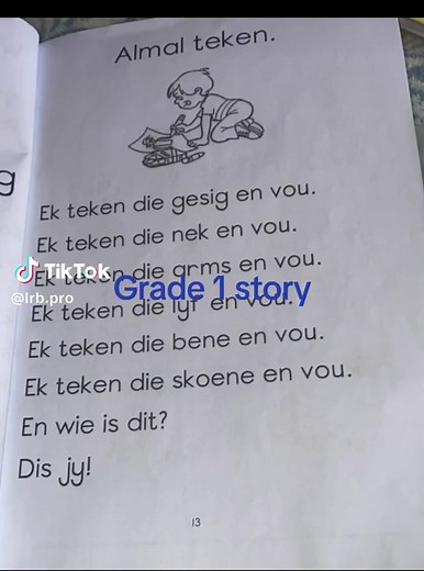 Grade 1 Afrikaanse Leesles: Teken en Stories